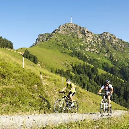 Apartmán Alpenappartement Europa *