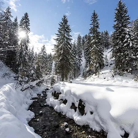 شقة Alpenappartement Europa سانكت يوهان ان تيرو