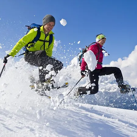 Alpenappartement Europa *