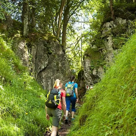 公寓 Alpenappartement Europa