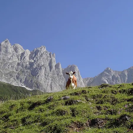 Alpenappartement Europa