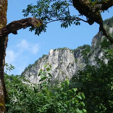 Alpenappartement Europa شقة سانكت يوهان ان تيرو