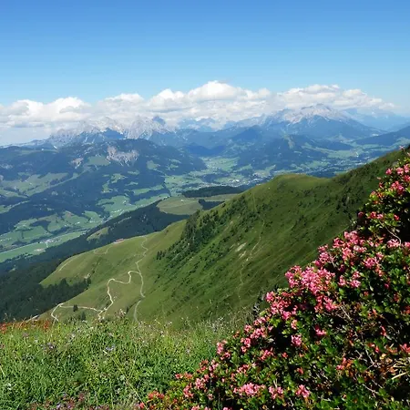 Apartmán Alpenappartement Europa *