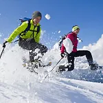 Alpenappartement Europa *