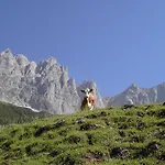 Alpenappartement Europa