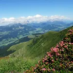 Appartement Alpenappartement Europa *